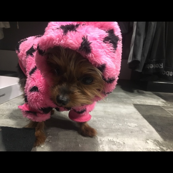 We R Posh Ambassadors ⭐️🐾🛍🥰🙌🏽💚 - Picture 5 of 5